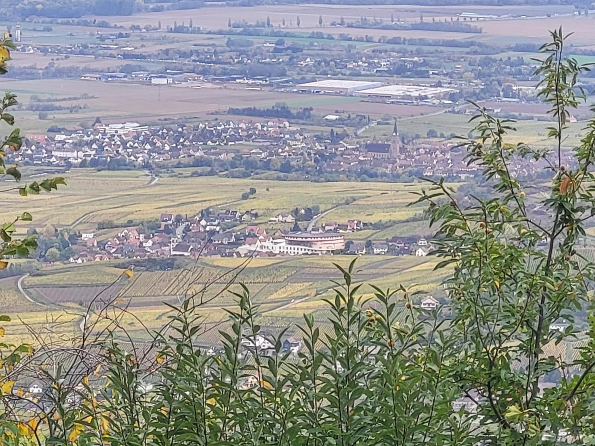 הוילה רור Sur La Route Du Vin מראה חיצוני תמונה